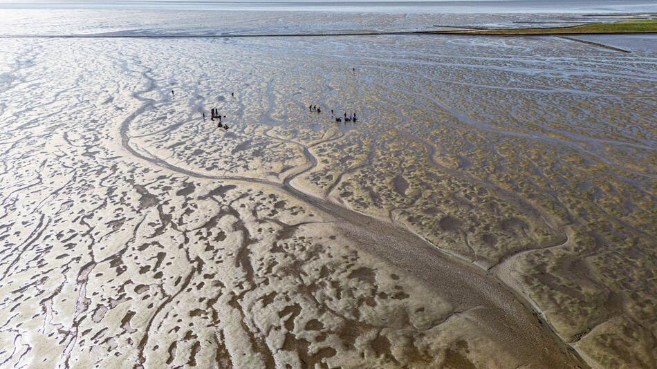 Wattenmeer in Schleswig-Holstein