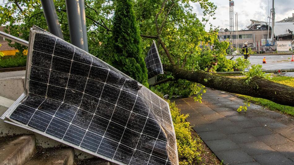 Ein Solarzellenmodul liegt am Straßenrand