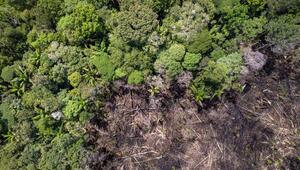 COP30, Klimakonferenz, Amazonas, Regenwald, Brasilien, Klima, Klimaschutz