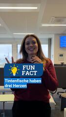 Fun Fact: Tintenfische sind die einzigen Lebewesen mit drei Herzen