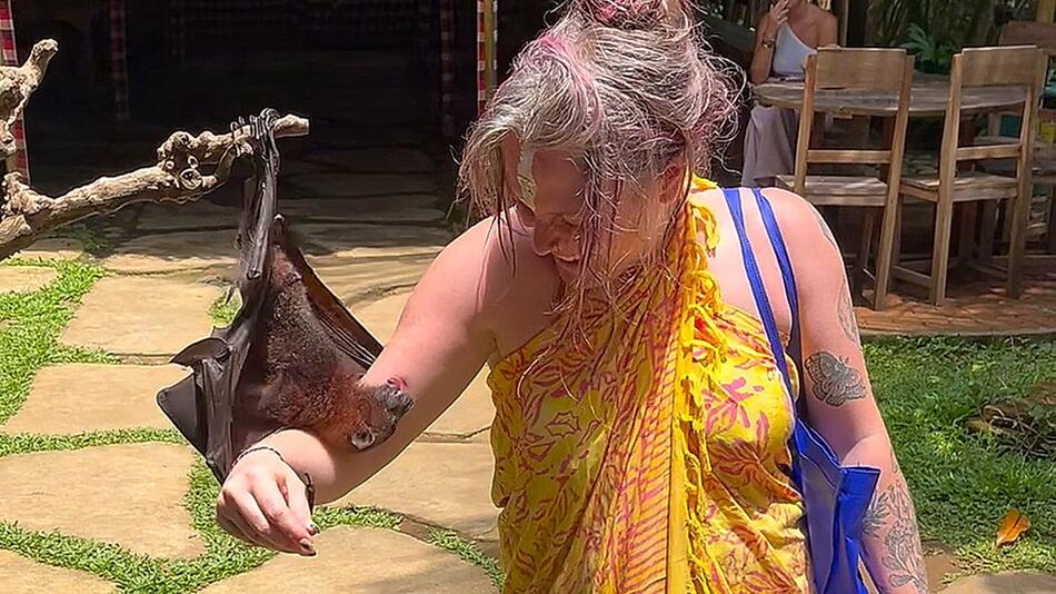 Besonders zutraulich: Fledermaus umarmt Touristin auf Bali