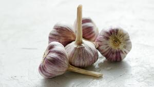 Knoblauch: Aromatisch, gesund und vielseitig in der Küche