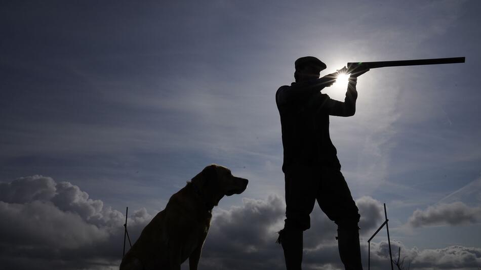 Bleimunition wird weiter zur Jagd eingesetzt