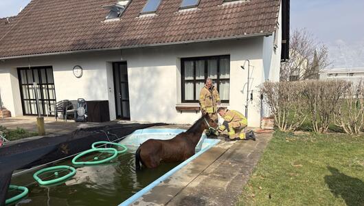 ++ HANDOUT ++ Das Tier brach durch die Abdeckung