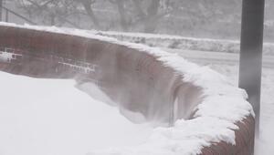 "Echter Wetterkrimi": Sturmtief Elli bringt noch mehr Schnee