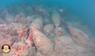 2.000 Jahre altes Schiffswrack mit Amphoren