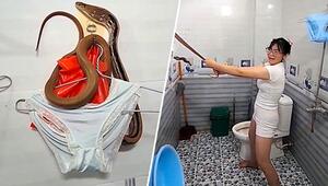 Ungebetener Badezimmergast: Schlange macht es sich auf Unterwäsche bequem