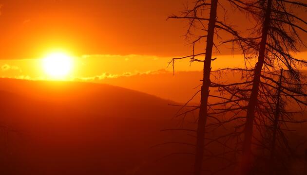 Sonnenuntergang im Harz