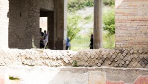 Oplontis 