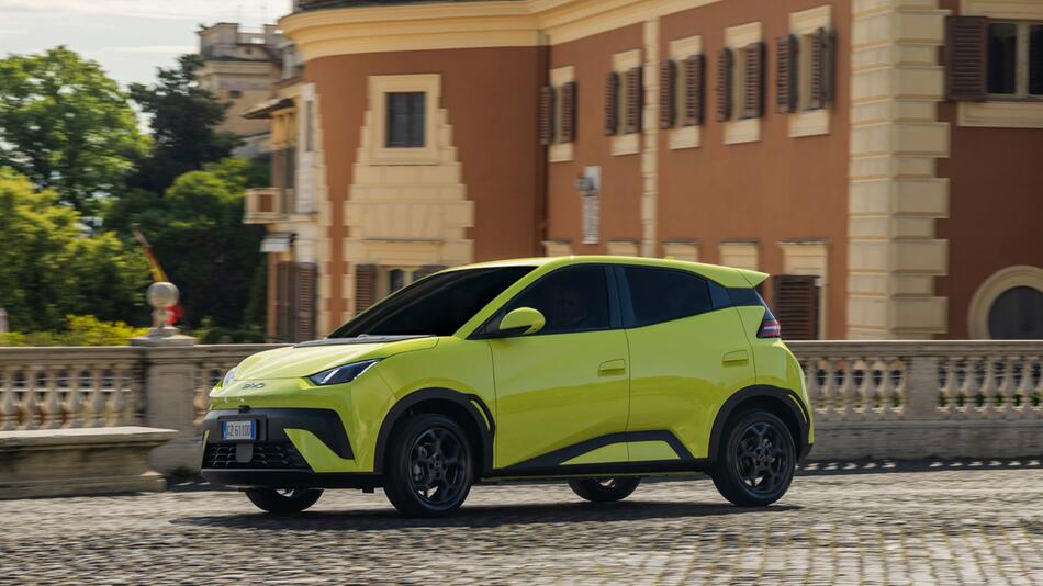 BYD Dolphin Surf