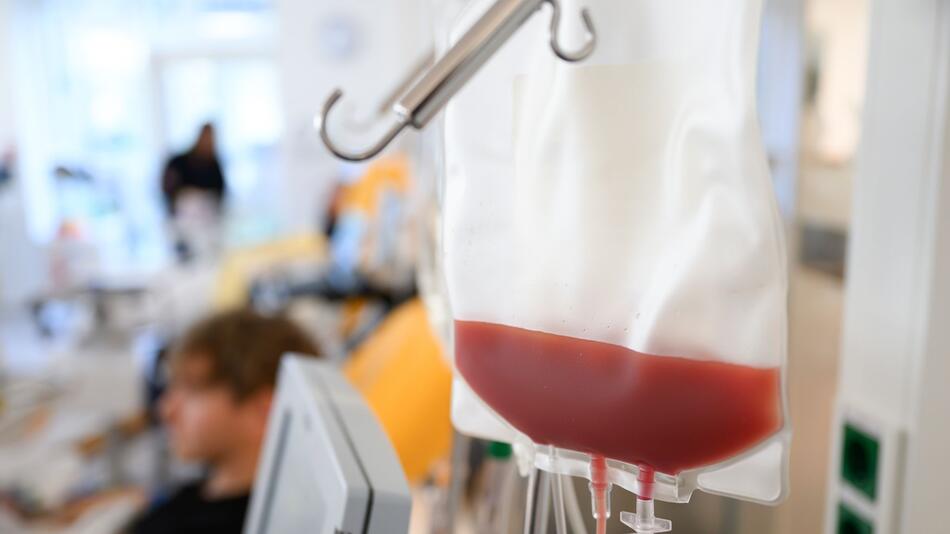 Stammzellenspende, Blutkrebs, DKMS, Gesundheit