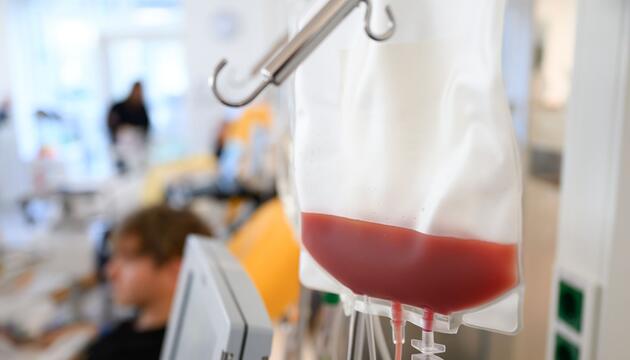 Stammzellenspende, Blutkrebs, DKMS, Gesundheit