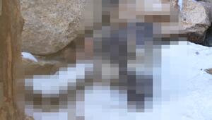 KORREKTUR! Rätsel: Können Sie erraten, welches Tier wir suchen?