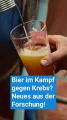 Bier im Kampf gegen Krebs?