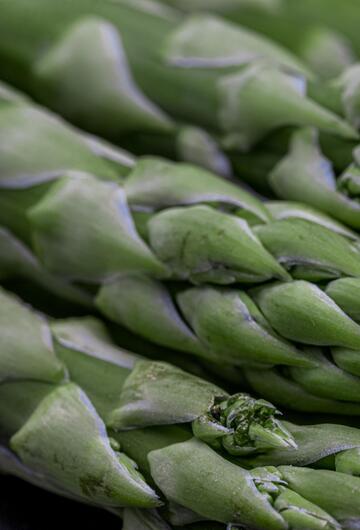 Spargel, Gemüse, Rezepte, Diät, gesund, Essen