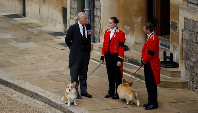Die Corgis Muick und Sandy lebten nach dem Tod der Queen bei Andrew und Sarah Ferguson in der ...