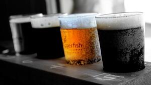 alkoholfrei 0,0
