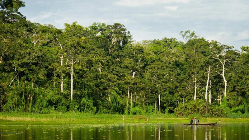 Naturreservat Pacaya-Samiria