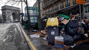 Wahlkampf in Paris - Millionen Ratten sorgen für Streit