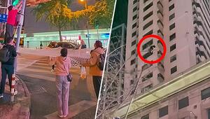 Sprung ins Netz: Helfer befreien Kätzchen aus Baum in China