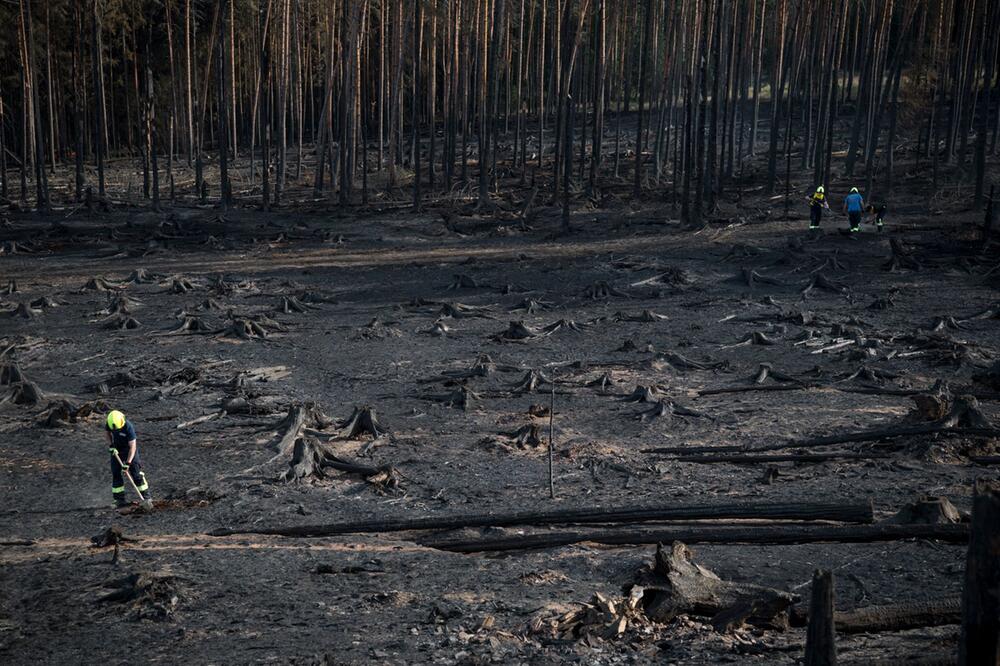 Waldbrand in Thüringen - Saalfelder Höhe