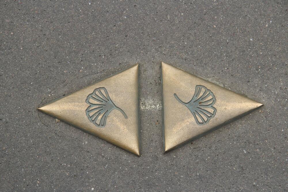 Das Ginkgoblatt weist den Weg zum Jugendstil-Rundgang in Nancy