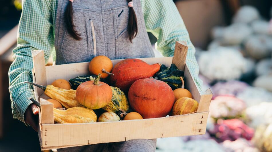 Kürbis ist ein Klassiker der Herbstküche.