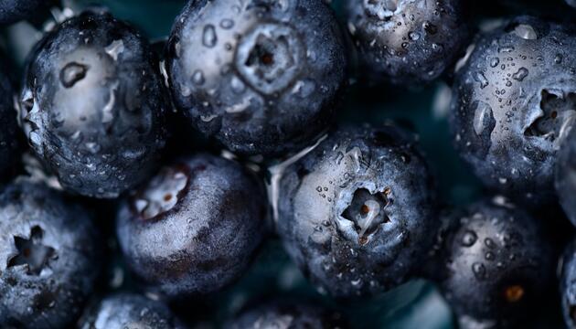 Warum es sich lohnt, täglich eine Tasse wilde Blaubeeren zu essen