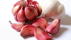 knoblauch roh essen