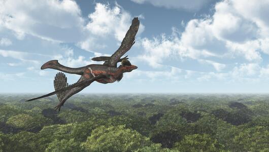 Microraptor im Flug