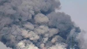 Der Brand im Föhrenwald breitete sich rasch aus
