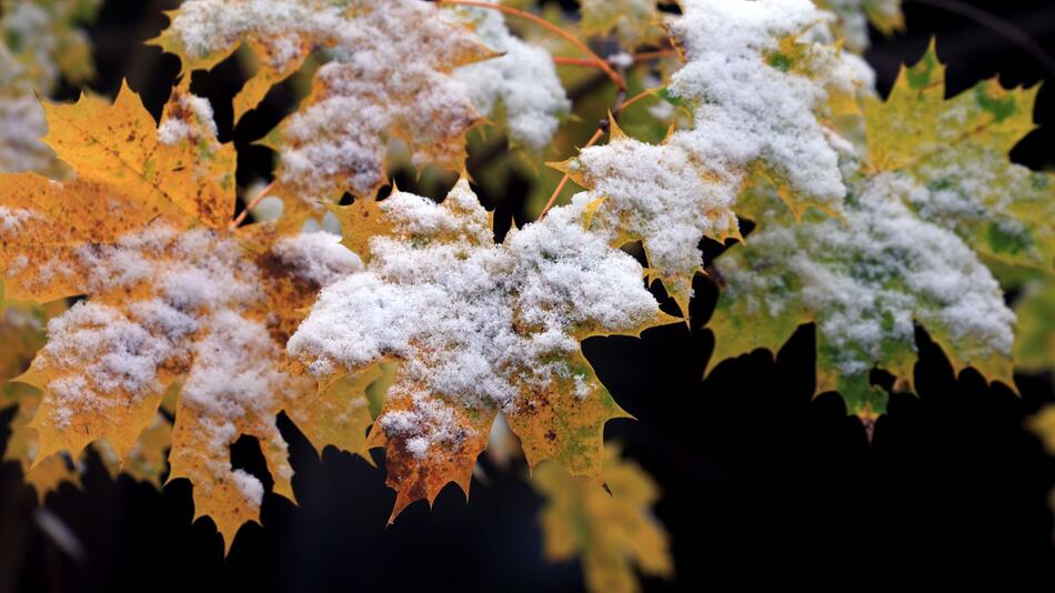 Schnee im Voralpenland