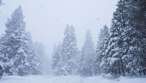 Schnee in Kalifornien