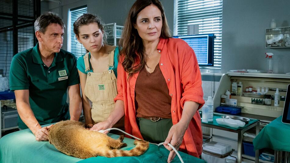 "Tierärztin Dr. Mertens: Unter Druck": Dr. Susanne Mertens (Elisabeth Lanz, r.) bekommt ...
