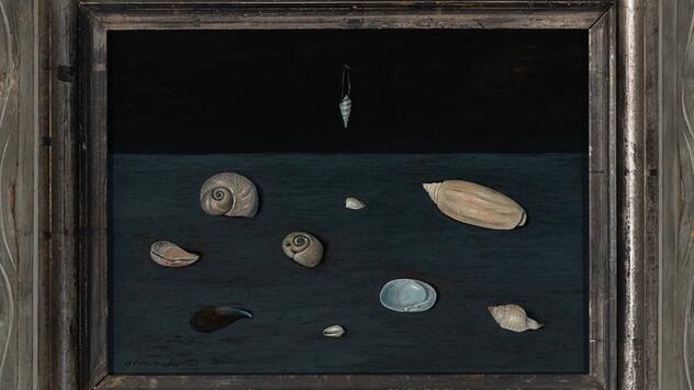 "Alderman Merriam's Shells" von 1951