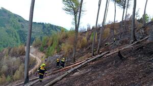 Der Waldbrand nördlich von Graz wurde auch am Dienstag weiter bekämpft