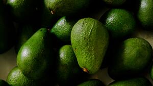Avocado – die perfekte Lagerung bis zur vollen Reife