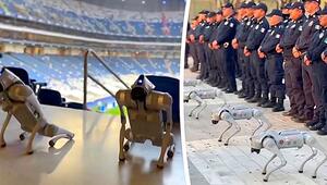 Robo-Dogs: Mexiko setzt bei WM 2026 auf Roboterhunde