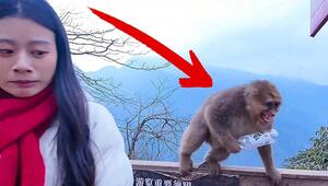 Affiger Fototermin – freches Tier kassiert „Gebühr“