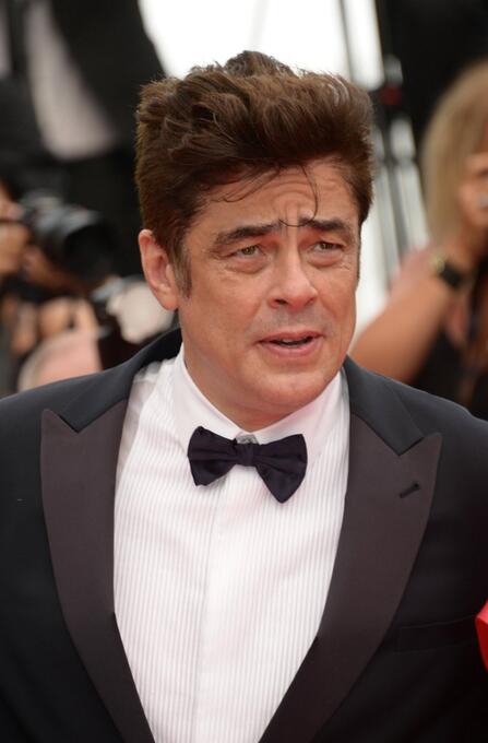 Benicio del Toro