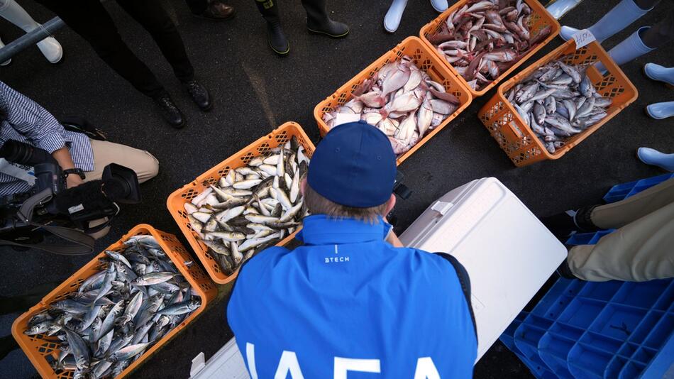 Fukushima-Kühlwasser - Stichproben der IAEA