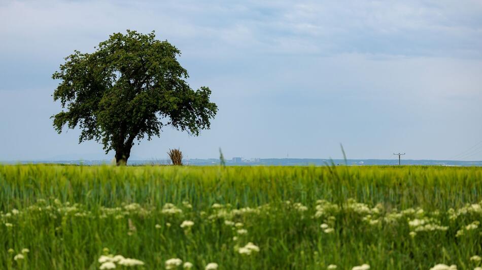 Meteorologen rechnen mit Wetterumschwung