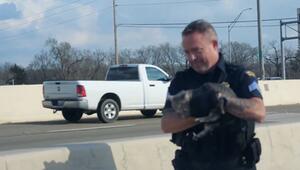 Polizist rettet verletzte Katze von Autobahn und bringt sie in Sicherheit