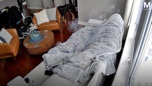 Beinahe-Katastrophe: Hund spielt mit beheizbarem Handschuh – dann wird es brenzlig