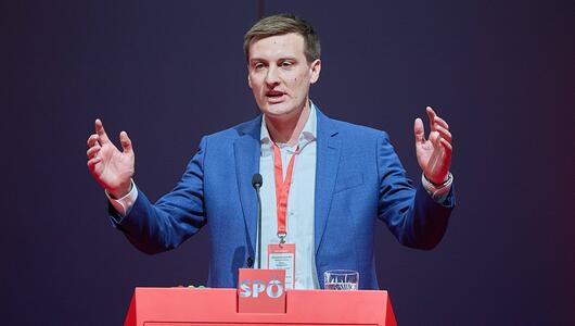 Landesparteivorstand stimmte für Hergovich