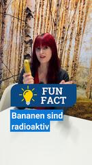 Radioaktive Bananen? Wie gefährlich sie wirklich sind