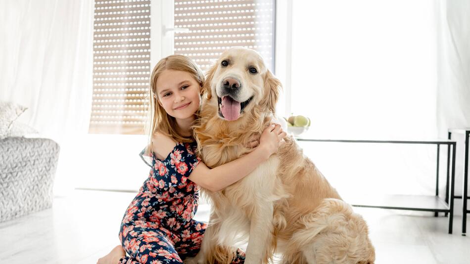 Hund, Mädchen, Golden Retriever