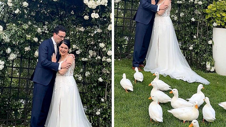 Tierische Fotobombe: Enten überraschen Brautpaar