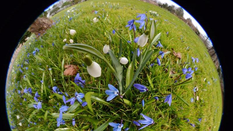 Fotografieren mit Fisheye-Objektiv