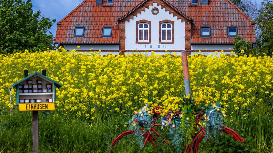 Ferienhaus an der Ostseeküste